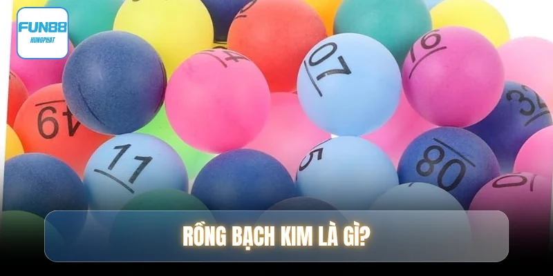 rong-bach-kim-la-gi